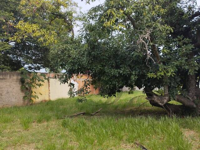 #380 - Terreno para Venda em Sorocaba - SP - 3
