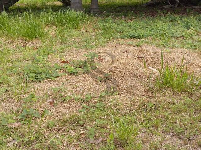 Terreno para Venda em Sorocaba - 4