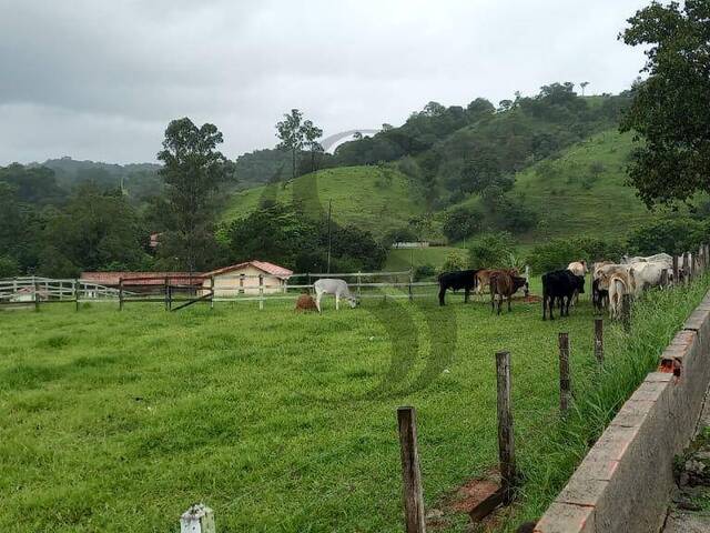 Área para Venda em Sorocaba - 4